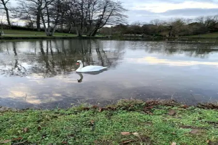 Résidence Le Hameau du Lac 1, Escapade tranquille avec piscine - Photo 33