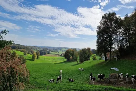 Le domaine d'Hypolite, Hilltop Haven à Parlan - Photo 37