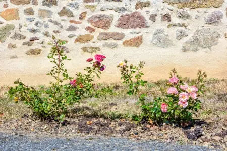 Authentique maison auvergnate, Retraite Calvinet pour six personnes - Photo 16