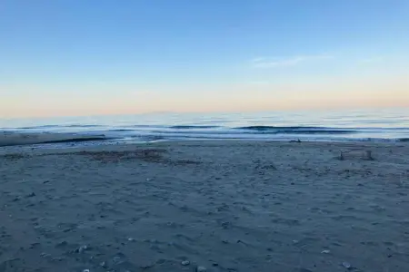 Le Vieux Pressoir, Maison Moriani-Plage avec Piscine - Photo 32