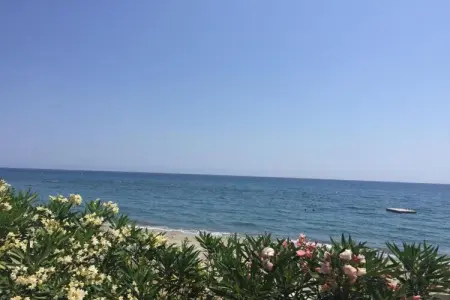 Le Vieux Pressoir, Maison Moriani-Plage avec Piscine - Photo 37