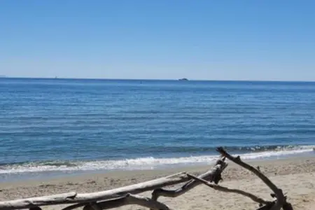 Résidence le Maquis Plage Studio, Maison de Vacances en Corse Plage - Photo 12