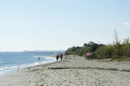 Résidence le Maquis Plage Studio, Maison de Vacances en Corse Plage - Photo 25