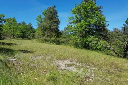 Résidence Le Hameau du Moulin 3, Appartement en France avec Vue sur Piscine - Photo 29