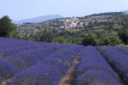 Appartement - MONTBRUN-LES-BAINS, Escapade à vélo à Montbrun - Photo 27