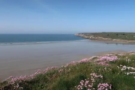 Résidence Horizon Morgat 2, Escapade à la plage de Bretagne | Jardin - Photo 27