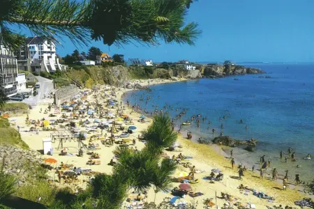 Maison Albatros, Villa familiale en bord de mer au Pouldu - Photo 37