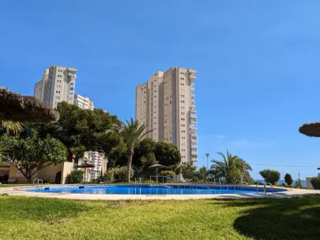 Pintor Sorolla, Appartement 4 personnes à Benidorm - Photo 14
