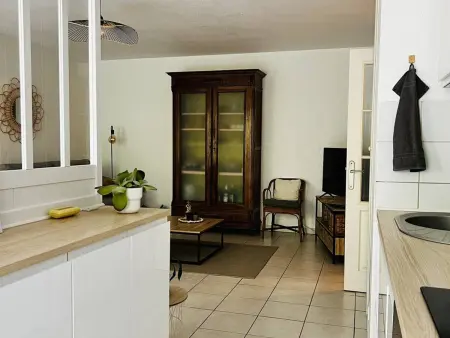 Cambo-les-Bains : Appartement T2 calme avec terrasse, parking, Internet - Photo 8