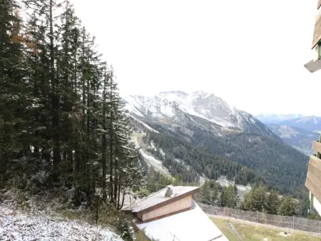 Avoriaz, 3 pièces, 6 pers, balcon, vue montagne - Photo 11