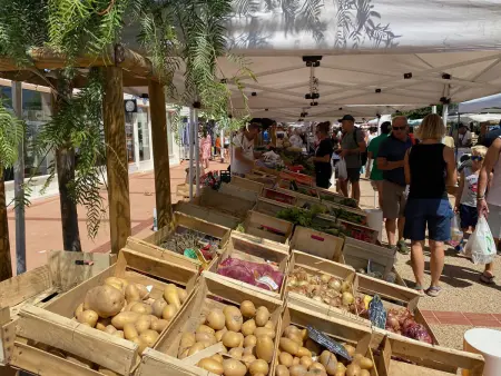 Beau T2 climatisé pour 4 pers avec parking, proche plage à Port Leucate - Photo 20