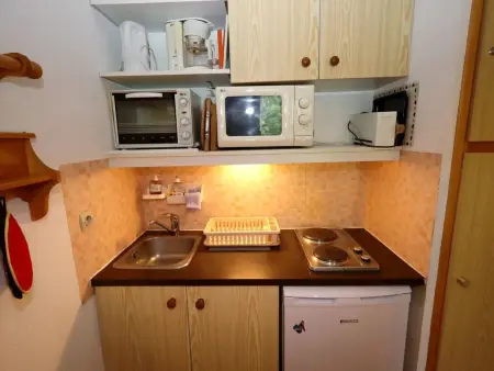 Studio cabine 4 pers près des télécabines, animaux admis parking - Photo 3