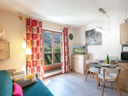 Studio charmant avec vue Mont-Blanc, Wifi et animaux acceptés - Photo 2