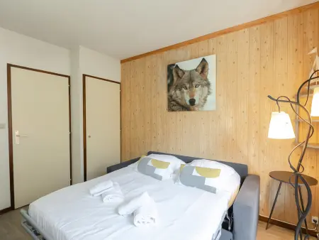 Studio charmant avec vue Mont-Blanc, Wifi et animaux acceptés - Photo 8