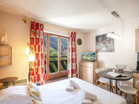 Studio charmant avec vue Mont-Blanc, Wifi et animaux acceptés - Photo 9