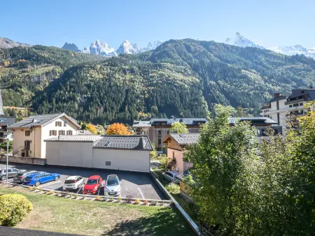 Studio charmant avec vue Mont-Blanc, Wifi et animaux acceptés - Photo 14