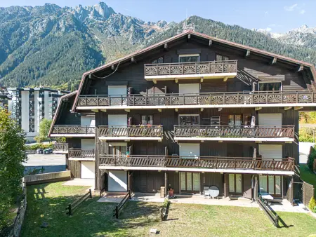 Studio charmant avec vue Mont-Blanc, Wifi et animaux acceptés - Photo 16