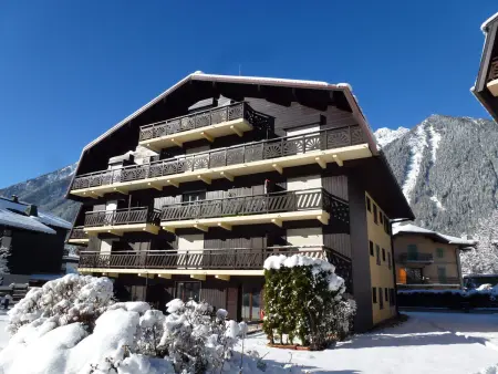Studio charmant avec vue Mont-Blanc, Wifi et animaux acceptés - Photo 17