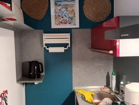 Magnifique 2 pièces rénové avec climatisation et parking privé - Photo 10