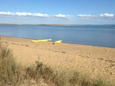 Maison 3 ch. avec piscine privative à Dolus d'Oléron - Photo 16