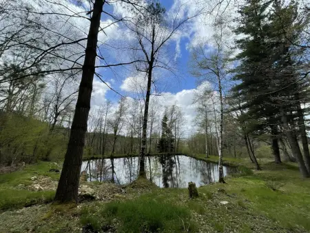 Écrin de verdure pour couple avec parking, Gite 2 personnes à Châtel Montagne - Photo 17