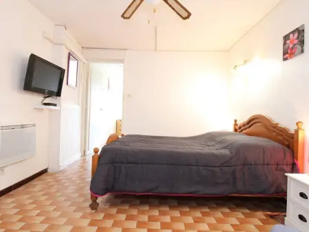 Spacieux T2 rénové proche étang de Thau, climatisé, terrasse, parking, WiFi à 800m des thermes - Photo 8