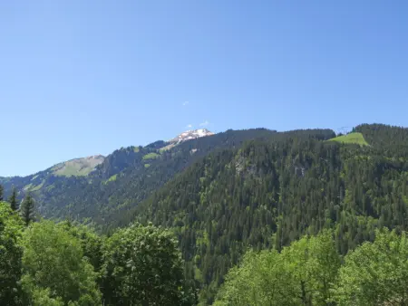 Appartement spacieux, 4 personnes, parking, Châtel - Photo 5