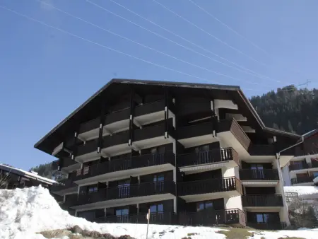 Appartement spacieux, 4 personnes, parking, Châtel - Photo 10