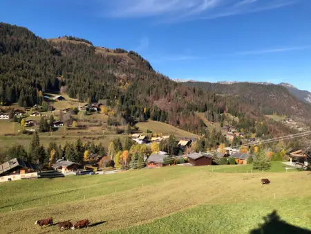 Duplex rénové 2020, 4 chambres, balcon, parking à La Clusaz - Photo 14