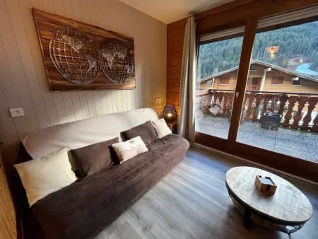 Châtel : 2 pièces pour 4 pers, terrasse, parking - Photo 11