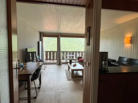 Studio Châtel 4 pers, balcon sud-ouest, parking - Photo 7