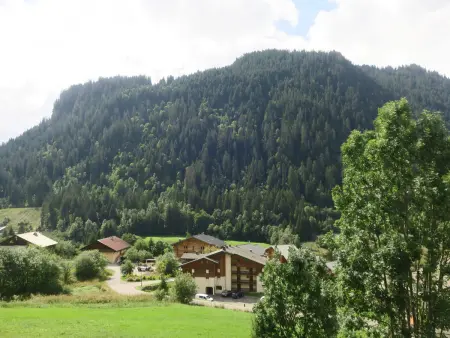 Studio cosy pour 4 pers, vue imprenable et parking, Châtel - Photo 12
