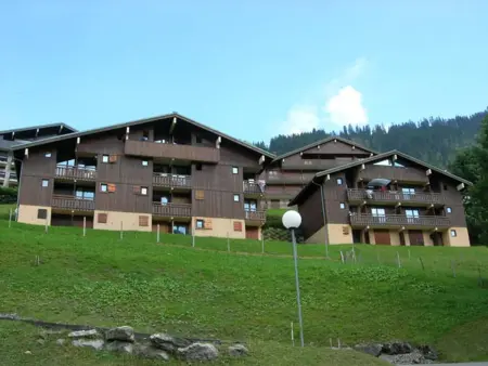 Studio cosy pour 4 pers, vue imprenable et parking, Châtel - Photo 13
