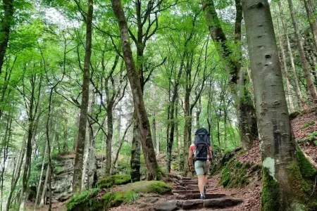 Camping Nommerlayen 1, Lodge à Nommern près de la forêt - Photo 20