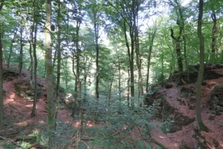 Resort Nommerlayen 3, Tente safari à Nommern près de la forêt - Photo 22