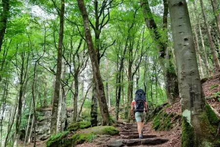 Resort Nommerlayen 3, Tente safari à Nommern près de la forêt - Photo 32