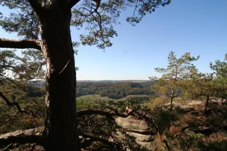 Resort Auf Kengert 1, Lodge à Larochette près des forêts et châteaux - Photo 20