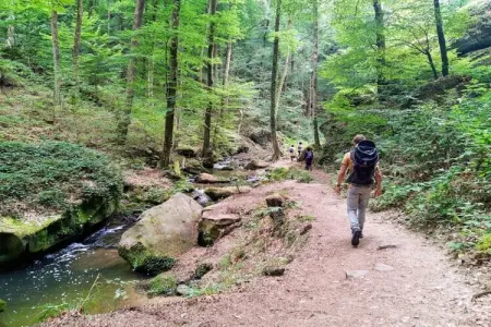 Resort Auf Kengert 1, Lodge à Larochette près des forêts et châteaux - Photo 22