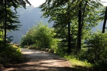 Resort Auf Kengert 1, Lodge à Larochette près des forêts et châteaux - Photo 28