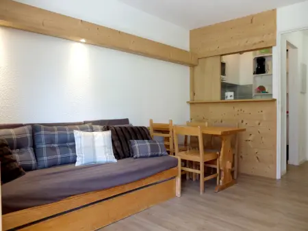 Studio Cabine 4 Pers. Ski aux Pieds Balcon Sud Animaux Ok - Photo 1