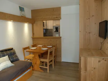 Studio Cabine 4 Pers. Ski aux Pieds Balcon Sud Animaux Ok - Photo 7