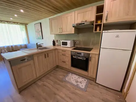 Charmant appart 4 pers. avec chambre indép., terrasse, Wi-Fi, parking, skis, proche Crest-Voland - Photo 1