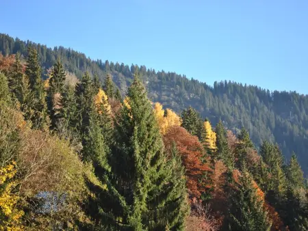 Chalet spacieux 10 pers. avec jardin, cheminée, cuisine équipée à Cohennoz, proche nature - Photo 10