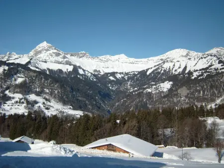 Studio cosy pour 4 aux pieds des pistes, animaux admis, parking - Photo 2