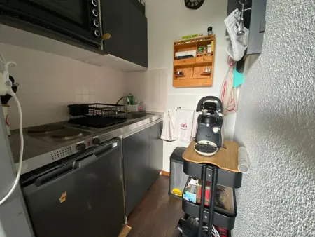 Studio 4 pers., proche pistes (80m) & centre village (200m), bien équipé, animaux acceptés - Photo 4