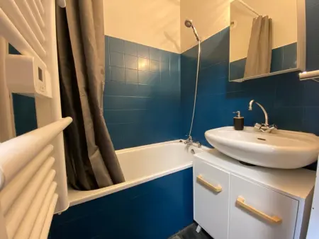 Studio 4 pers., proche pistes (80m) & centre village (200m), bien équipé, animaux acceptés - Photo 8