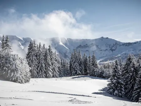 Neuf 3P avec parking et services inclus à Megève - Photo 14