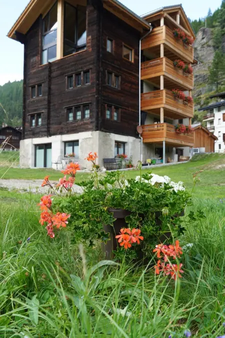Ferienhaus Capricorn, Appartement 4 personnes à Saas Grund - Photo 16