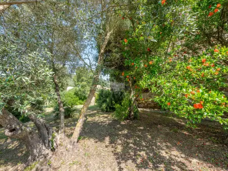 Le Calle, Maison 6 personnes à Cinigiano - Photo 43