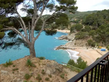 Appartement Front de Mer à Tossa de Mar avec Terrasse, Piscine et Accès Direct à 4 Plages Privées - Photo 8